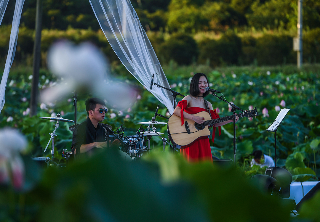 美丽山村举办夏季&ldquo;荷塘月色&rdquo;音乐会
