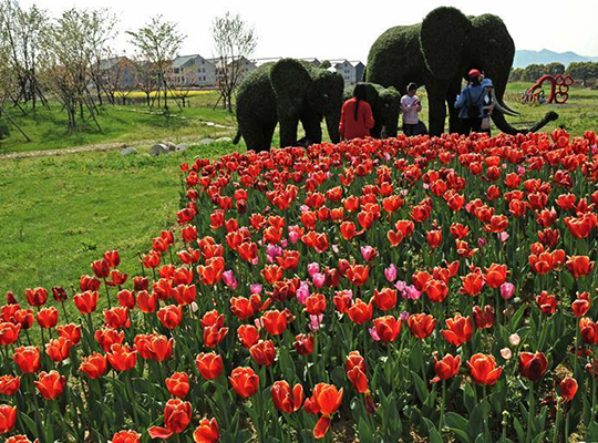 浙江&ldquo;万村景区化&rdquo;力促乡村振兴