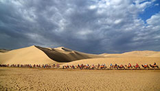 写在浙江各级国地税机构合并挂牌完成之际