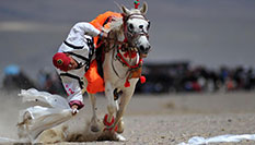 写在浙江各级国地税机构合并挂牌完成之际
