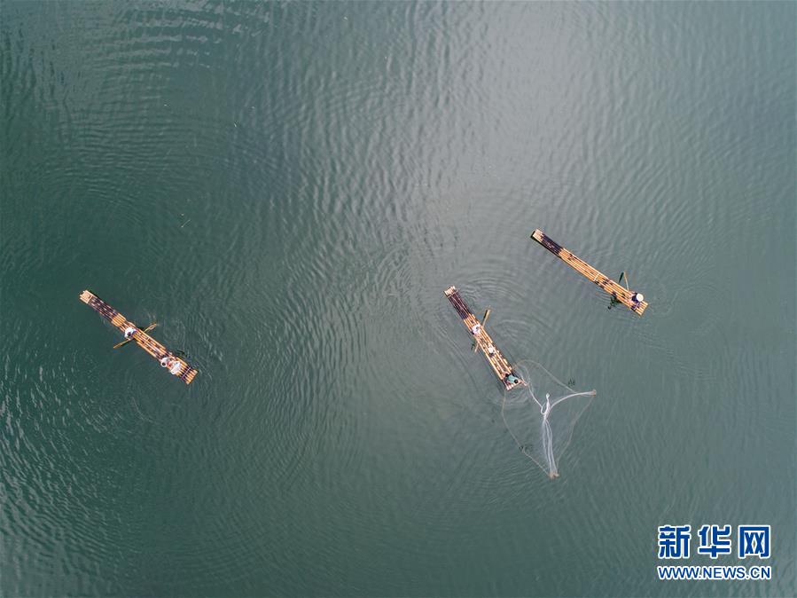 千島湖開漁展現“水清魚歡”美麗生態