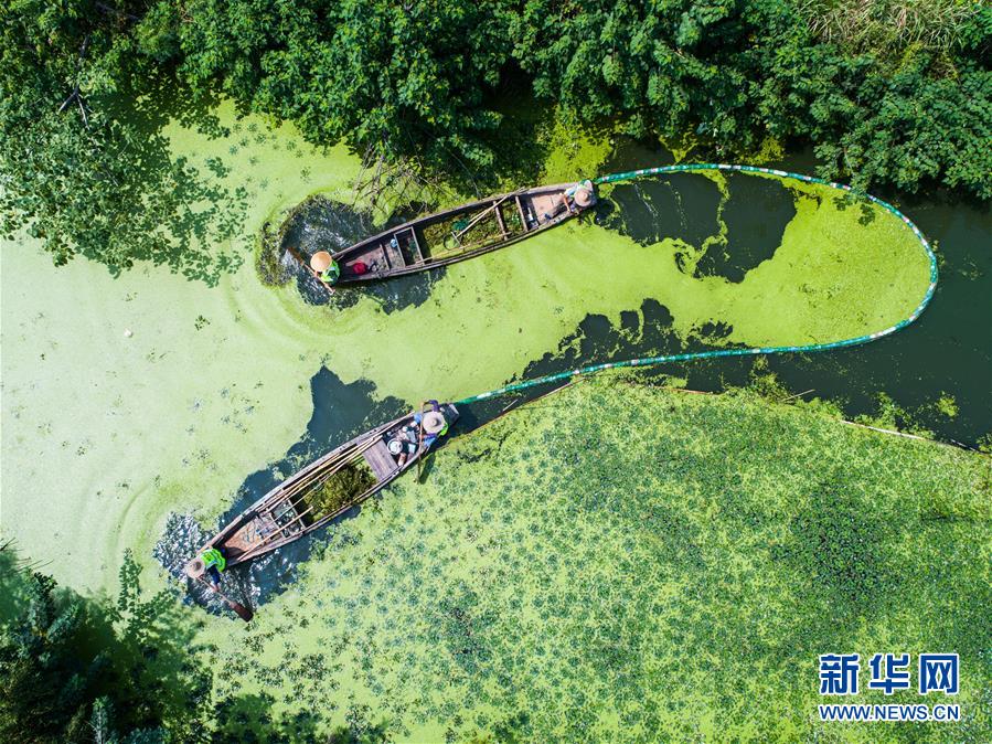 浙江湖州：鄉村河道清理忙