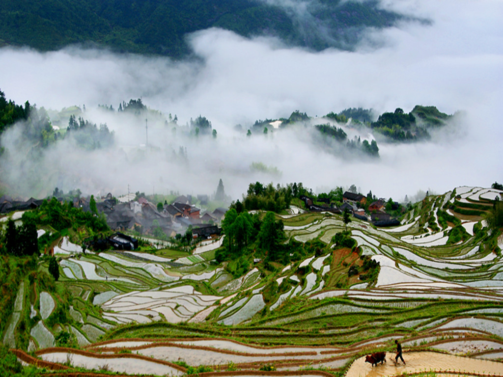 云和梯田