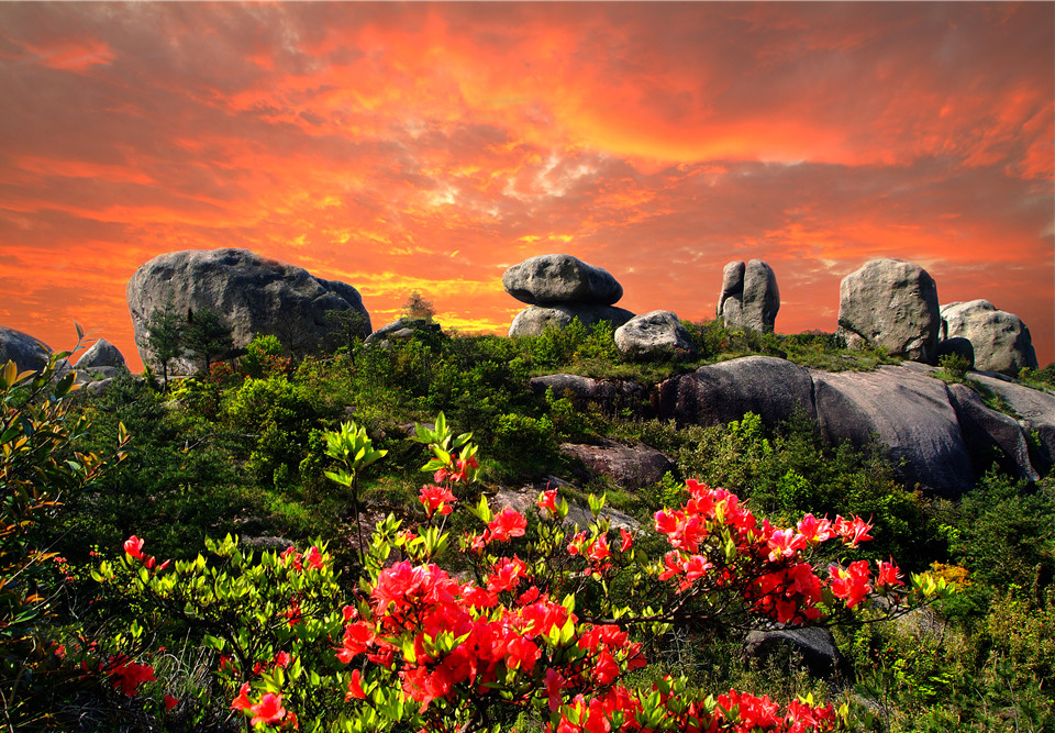 苍南&middot;影像