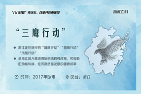 &ldquo;三鹰&rdquo;行动：带浙江经济飞向高质量发展丨浙江名片