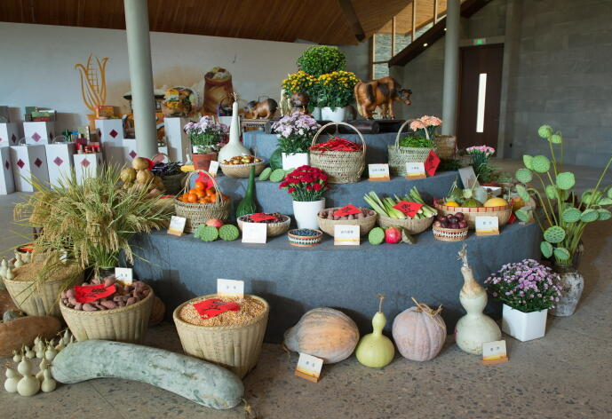 美味、趣味、文化味 2019新昌“中国农民丰收节”满满都是“干货”