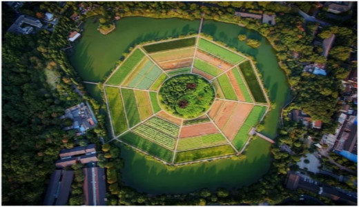 上城：千年皇城百年商圈，转型升级华彩变身