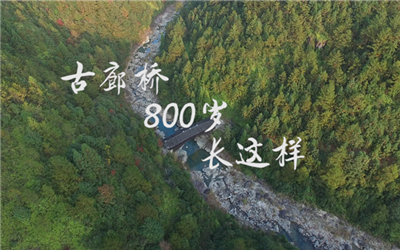 航拍：古廊桥 八百岁 长这样