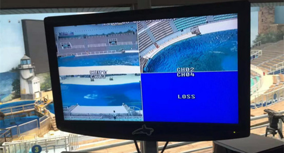 天津极地海洋世界