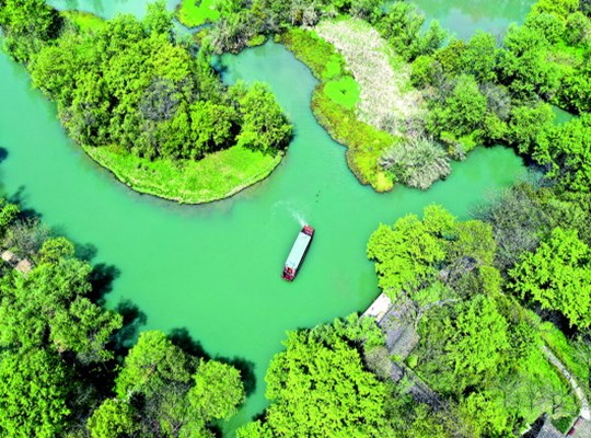 “天堂绿肺”养成记 西溪湿地：从污水横流到城市生态建设标杆