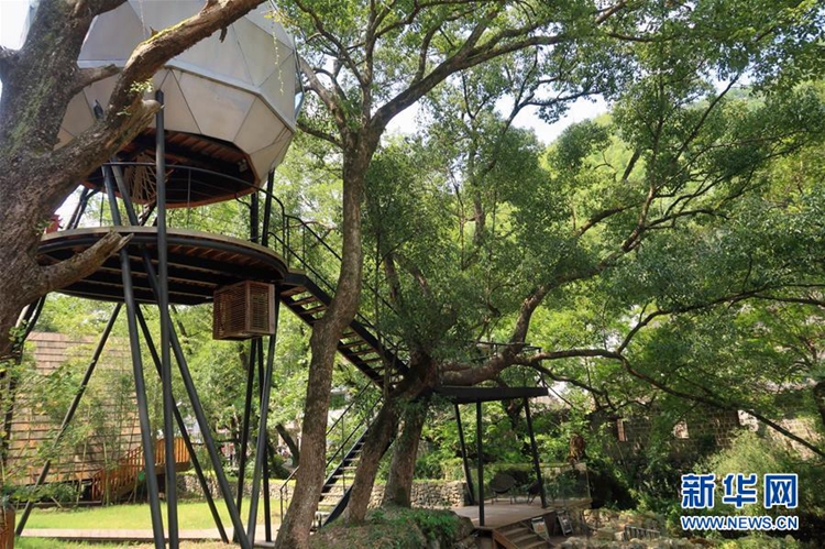 江南鄉愁 別樣民宿