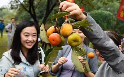 浙江杭州：第十六屆西溪火柿節開幕