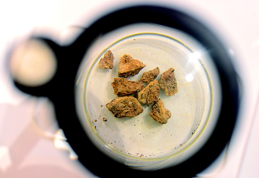 【稻作文化起源地】考古专家认为，钱塘江上游的&ldquo;上山遗址&rdquo;是世界稻作文化的起源地