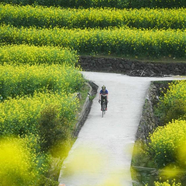 【&ldquo;寻味&rdquo;乡村振兴】乡村振兴的五种&ldquo;味道&rdquo;