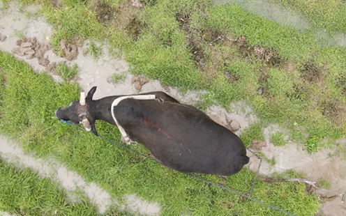 &ldquo;浙农事&rdquo;丨春耕抢农时