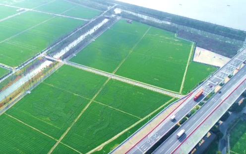 &ldquo;浙农事&rdquo;丨浙江杭州：无人机飞上农田 智慧农业助春耕