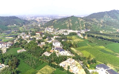 &ldquo;浙农事&rdquo;丨湖州安吉：茶山绿意浓 春暖茶飘香