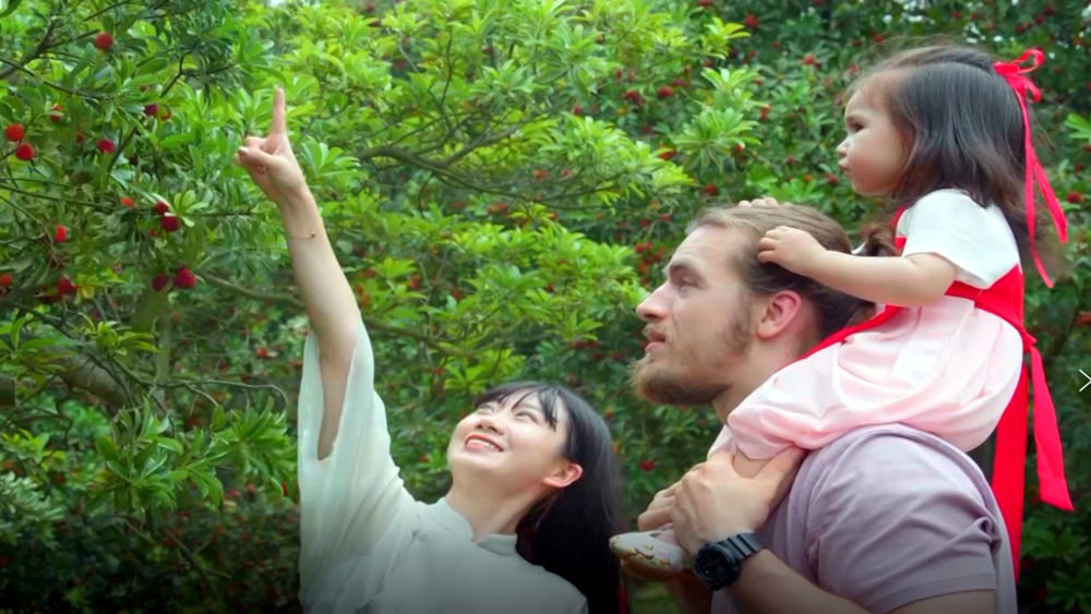 &ldquo;洋&rdquo;眼看浙江丨梅子红时雨又晴