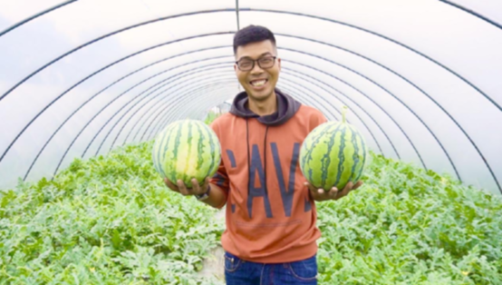 夏收夏种丨杭州钱塘区：本地西瓜抢&ldquo;鲜&rdquo;上市