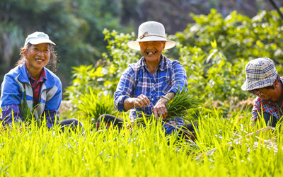 夏收夏种丨在希望的梯田上