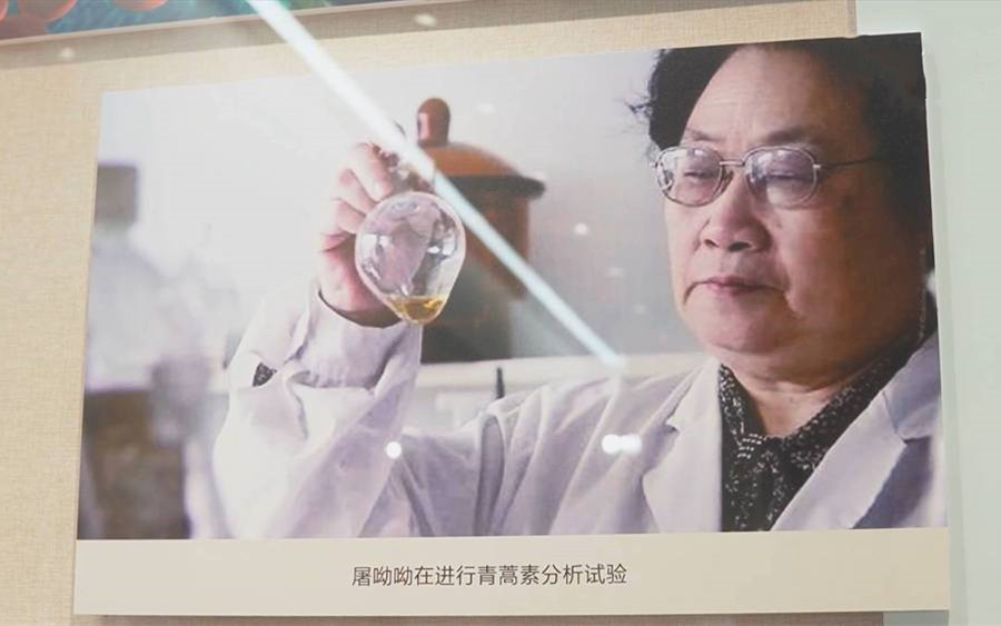 屠呦呦：青青蒿草 拳拳报国