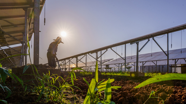 新华网：浙江民营企业在全球的优势是什么，竞争力在哪里？