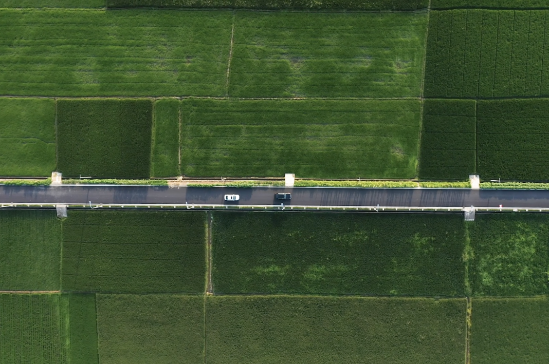 一条美丽致富出村路