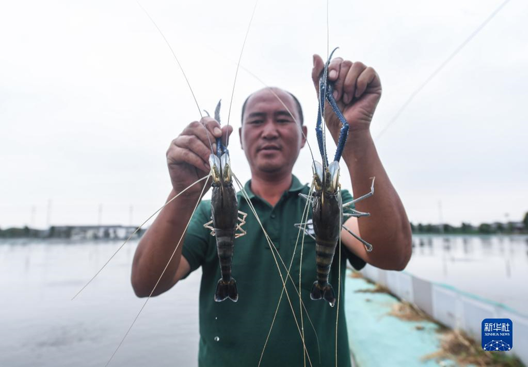 浙江湖州：推进特色生态水产养殖 助力乡村共同富裕