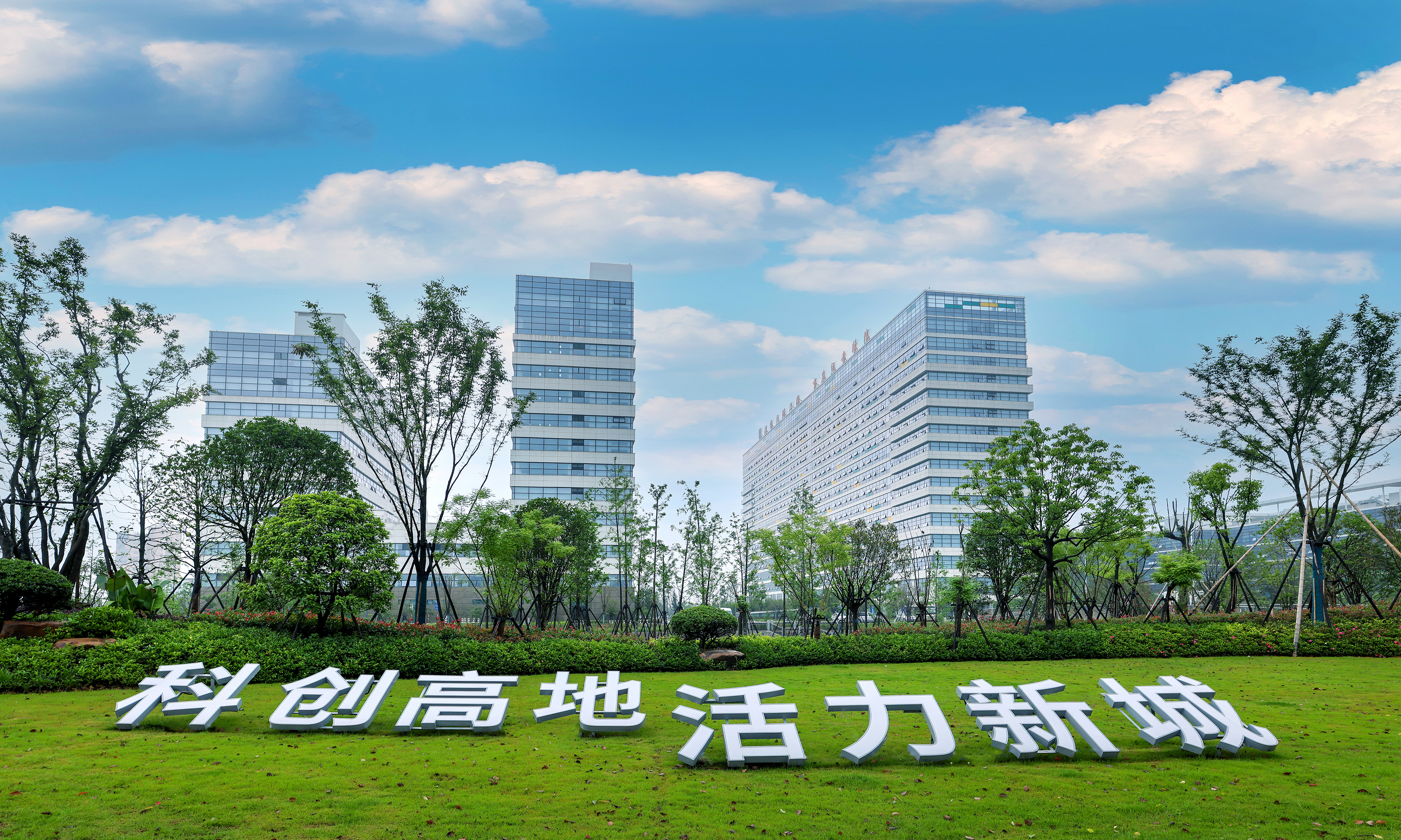 新华网：根据中央经济工作会议要求，2022年经济工作要稳字当头、稳中求进。龙湾将如何谋划落实？