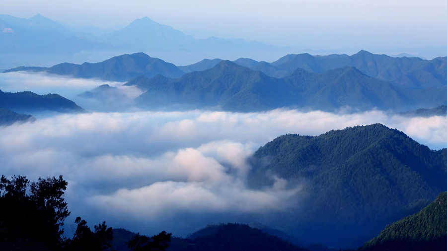 新华网：中药材是磐安的一大优势，请您介绍一下磐安的中药材资源？