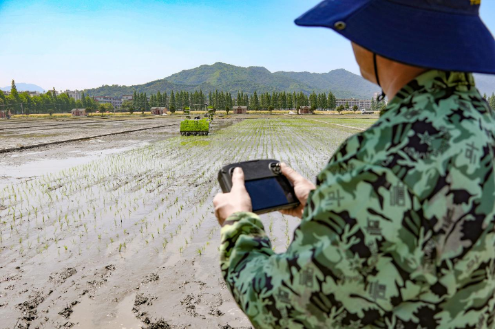 稻田裏的“科技范兒”