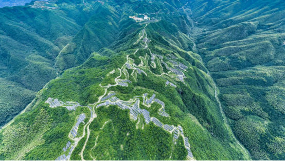 国网浙江：浙江风光装机容量突破3000万千瓦