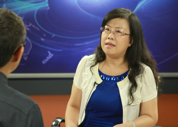 张燕谈公共文化服务体系建设