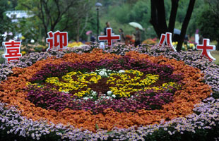 第五届全国菊花精品展在杭州开幕