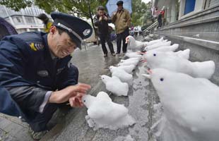 磐安陈斌强当选感动中国年度人物:绑着妈妈走