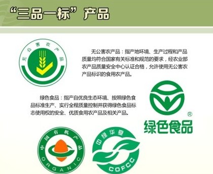 2013大型食品安全知识展