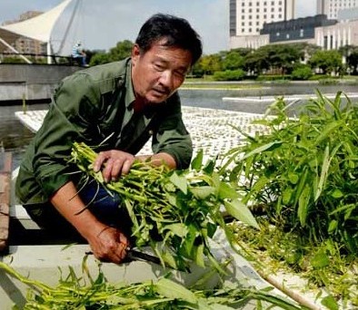 秀洲主页 新华网浙江频道 地方网群