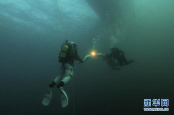 11月26日频媒扫描