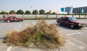 杭州一驾校建在祖坟边 学员练车绕着坟堆走