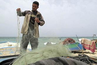 12月4日频媒扫描
