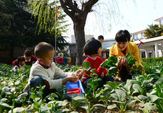 湖州：快乐学习 拥抱春天